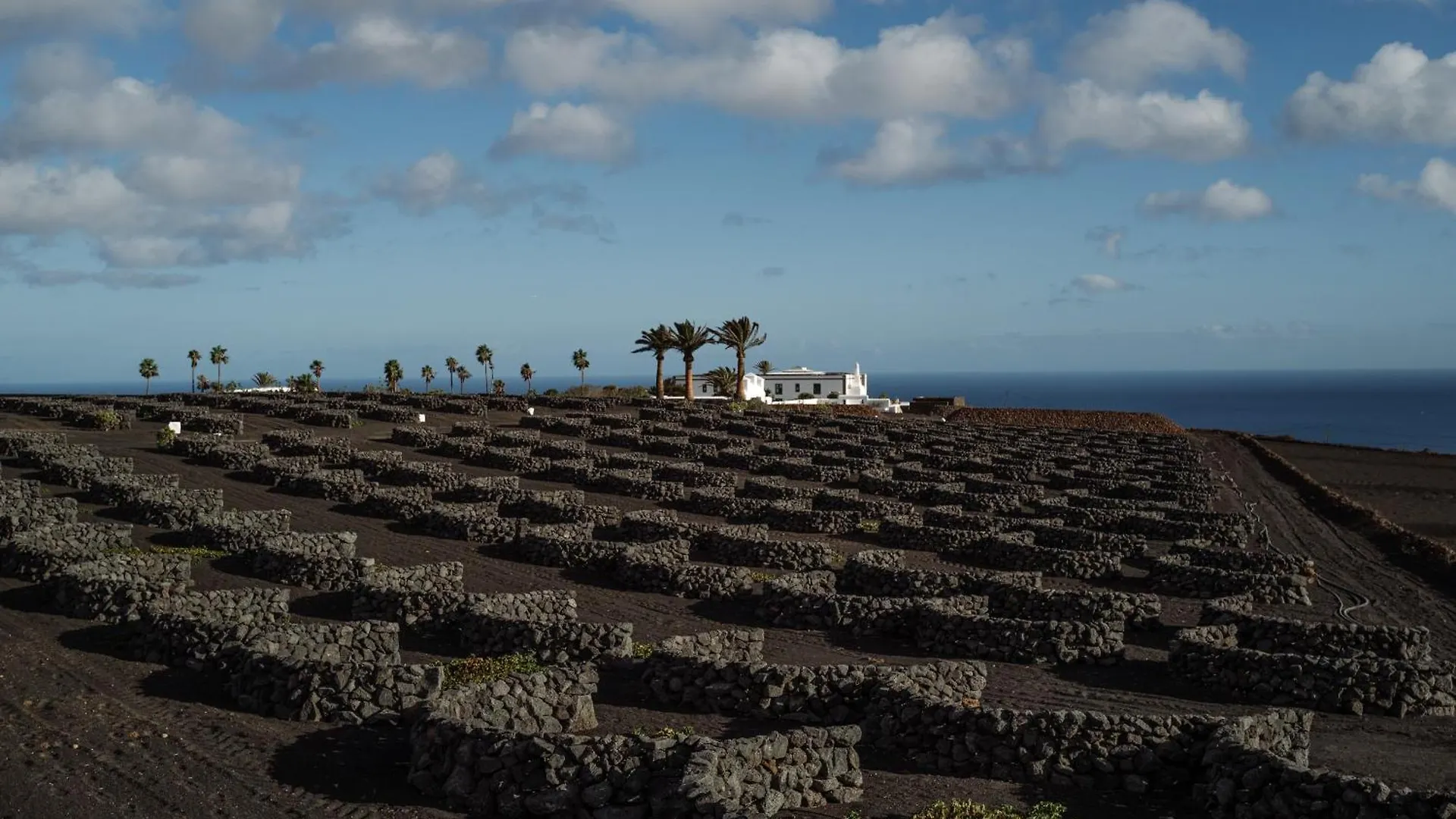 Cesar Lanzarote Luxury Boutique Hotel - Adults Only La Asomada